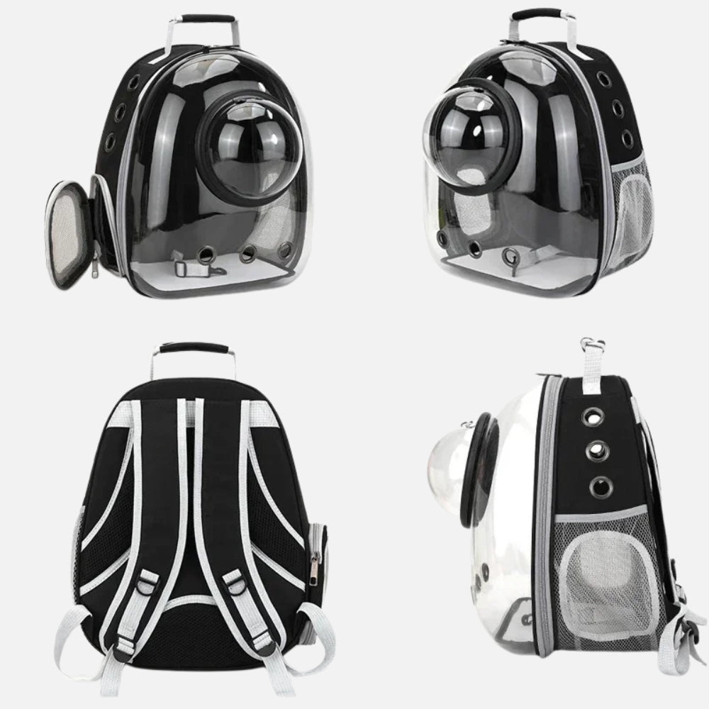 Sac de transport pour chat transparent avec ventilation