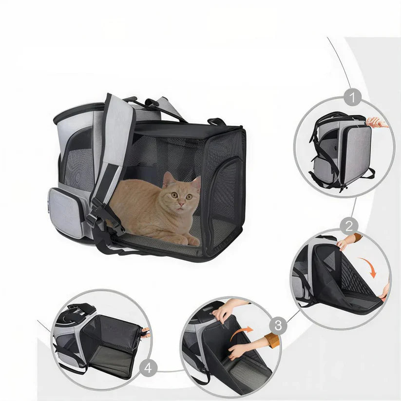 Sac de transport pour chat extensible